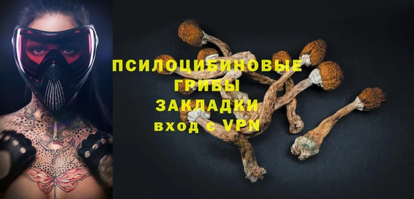 PSILOCYBIN Верхний Тагил