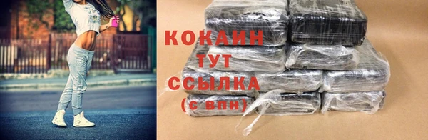 PSILOCYBIN Верхний Тагил
