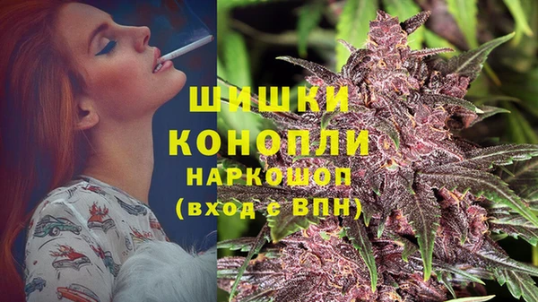 PSILOCYBIN Верхний Тагил